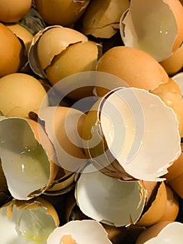 Group of Shell eggs .Eggs Shell background.