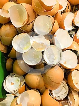 Group of Shell eggs .Eggs Shell background.