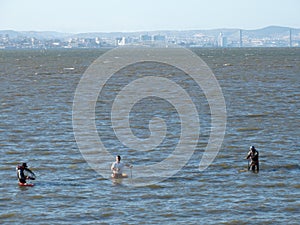 Group of shellfish gatherers collecting shellfish