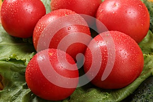 Group of six red ripe tomatoes with water drops lie on a lettuce leaves