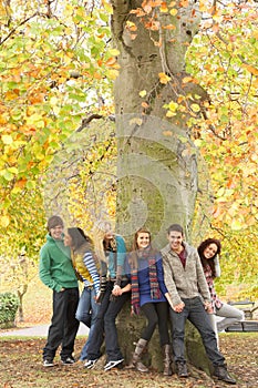 Group Of Six Teenage Friends Leaning Against Tree