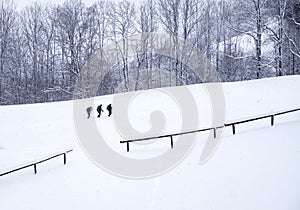 Group of skiers are enjoying the pristine winter landscape, skiing down a snowy hillside.