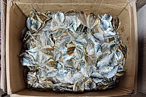 Group of Small dry fish in box for sale, top view