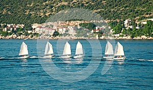 A group of small sailing boats with kid sailors in front of hilly shore