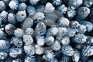 A group of snow covered trees in a forest. Winter pattern background