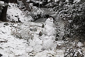 Group of snowmen in the wood, Glendora Ridge and MT Blady in California