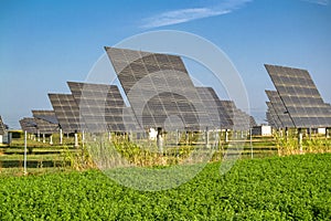 Group of solar panels in a field_03