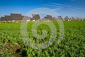 Group of solar panels in a field_05
