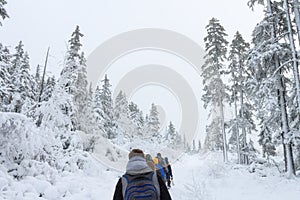 Group of some people on winter hike in mountains, backpackers walking on snowy forest