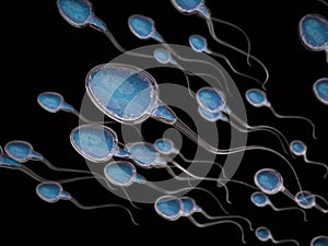 Group of sperms photo