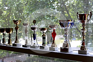 Group of sport trophies in row in a sport hall