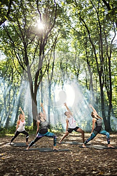 Group of sporty persons doing exercises in nature