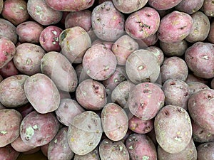Group stack pile of red potatoes display at organic farmers market grocery in natural sunlight