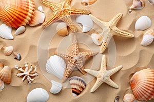 Group of Starfish and Seashells on a Sandy Beach, Sandy beach with a collection of seashells and starfish as a natural textured