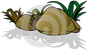 A Group of Stones with a Tuft of Grass