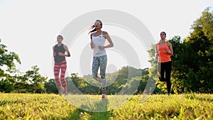 Group stretching workout, large group stretches outdoor on a green grass in park