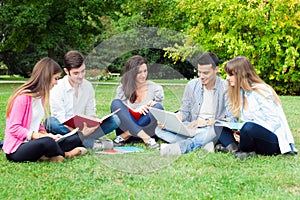 Group of students studying outdoor