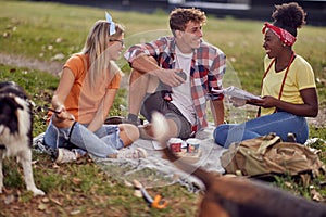 A group of students is studying while sitting on the grass in the park with their dogs. Friendship, rest, pets, picnic