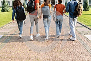 Group of students walking in college campus after classes, rear view