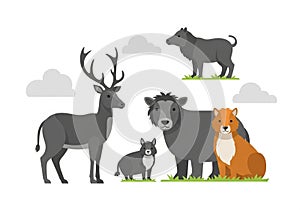 Of a group of stylized animals on a white background with gray