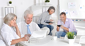 Group of successful businesspeople working