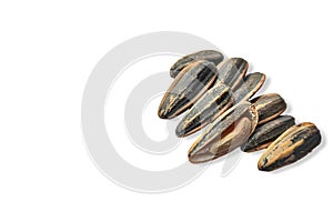 Group of sunflower seeds isolated white background. Healthy food with vitamin