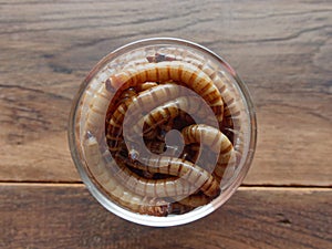 A group of super or giant worms crawl inside small brandy glass over dark wooden surface