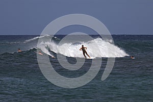 Group of surfers in Hawaii over the chasing waves in Kauai, Hawaii