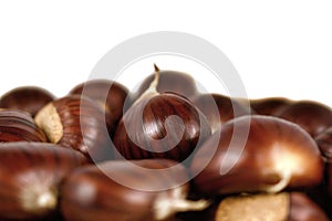 Group of Sweet edible chestnuts isolated on white background