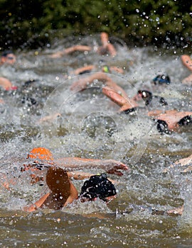 A group of swimmers
