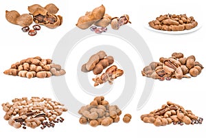 Group of Tamarind on white