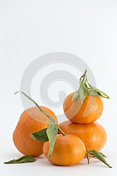 Group of tangerines on white background