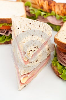 Group of Tasty Sandwiches