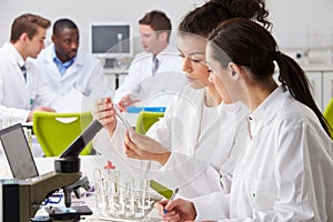 Group Of Technicians Working In Laboratory