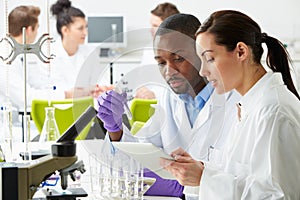 Group Of Technicians Working In Laboratory