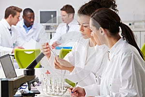 Group Of Technicians Working In Laboratory photo