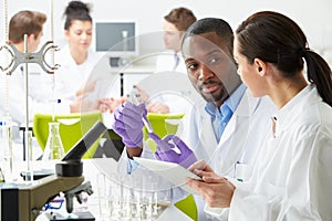 Group Of Technicians Working In Laboratory photo