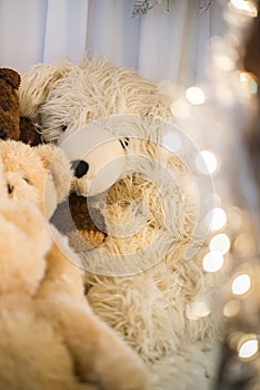 Group teddy bears lay indoor next to each other under the warm christmas lights