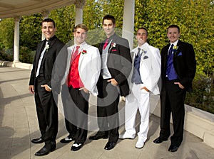 A Group of Teenage Boys in Tuxedos at the Prom