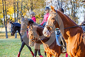 Group of teenage girls riding horse in autumn park