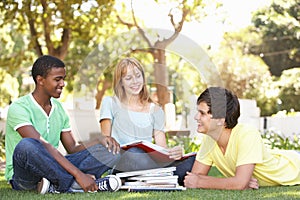 Group Of Teenage Students Chatting In Park photo