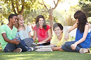 Group Of Teenage Students Chatting In Park photo