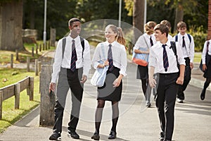 Group Of Teenage Students In Uniform Outside School Buildings photo