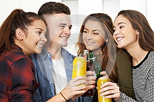 Group Of Teenagers Drinking Alcohol At Party