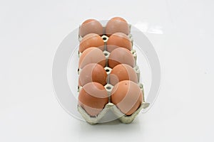 Group of Ten Fresh Chicken Eggs, on White Background