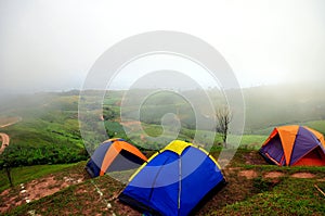 Group of tent