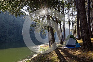 Group of tent for overnight camping with sunrise over the misty mountain and ray of light and campsite of Pang Oung, Mae Hong Son