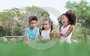 Group of three mixed race African and caucasian little cute kids sitting, playing in outdoor green park for picnic, eating fruit,