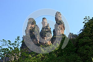 A group of the three tall hill at Zhangjiajie