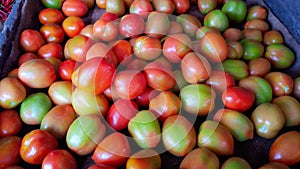 Group of tomatoes on the display